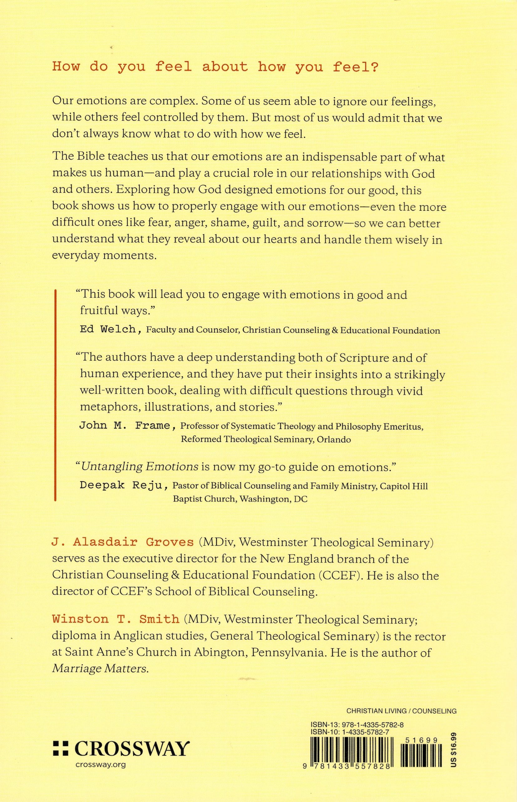 Untangling Emotions - Image 2