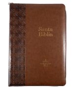 RVR 1960 Biblia de Estudio Arcoíris, Cafe Símil Piel Con índice y Cierre