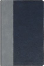 ESV Student Study Bible, Navy/Slate