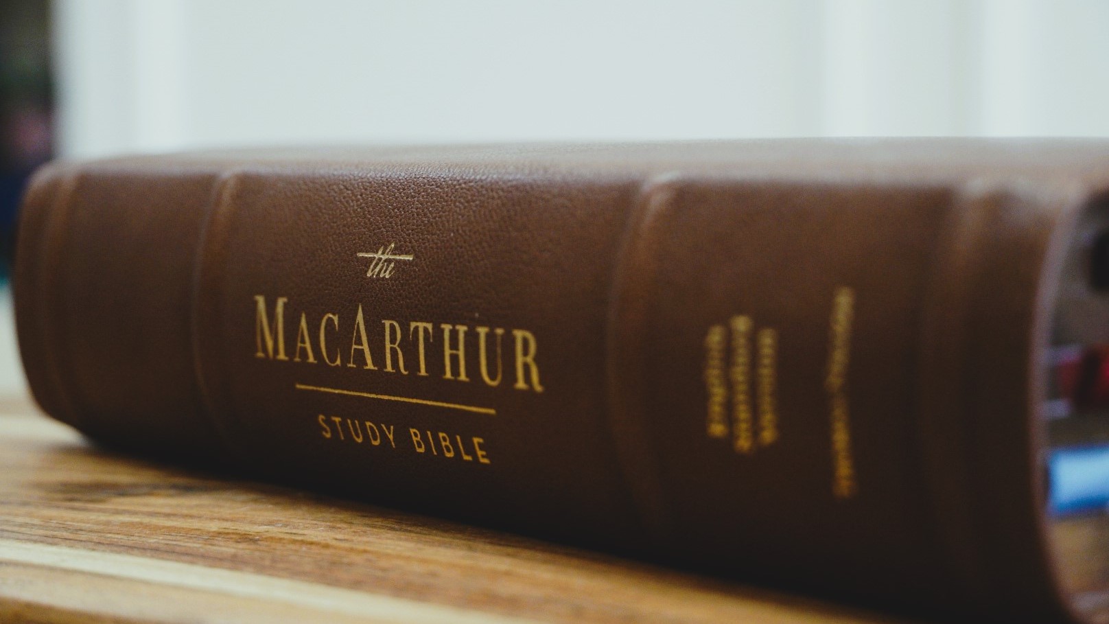 ESV, MacArthur Study Bible, 2nd Edition, Premium Goatskin Leather, Brown, Premier Collection: Unleashing God's Truth One Verse at a Time - Image 5