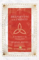 Delighting in the Trinity: An Introduction to the Christian Faith