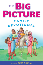The Big Picture Family Devotional
