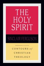 The Holy Spirit: Contours of Christian Theology