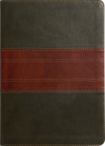 ESV Study Bible TruTone®, Forest/Tan, Trail Design Large Print