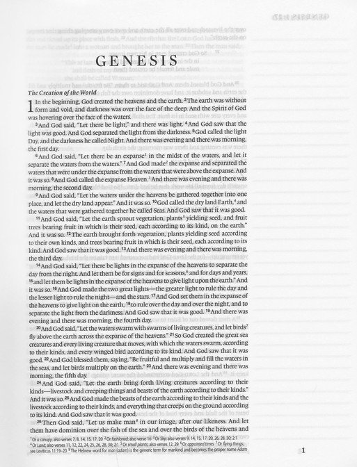 ESV Single Column Journaling Bible (The Lion and the Lamb) - Image 3
