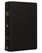 ESV Large Print Personal Size Bible Deep Brown