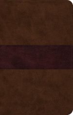 ESV Large Print Thinline Bible Chocolate/Plum