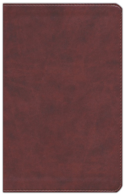 ESV Large Print Personal Size Bible Chesnut - Image 2