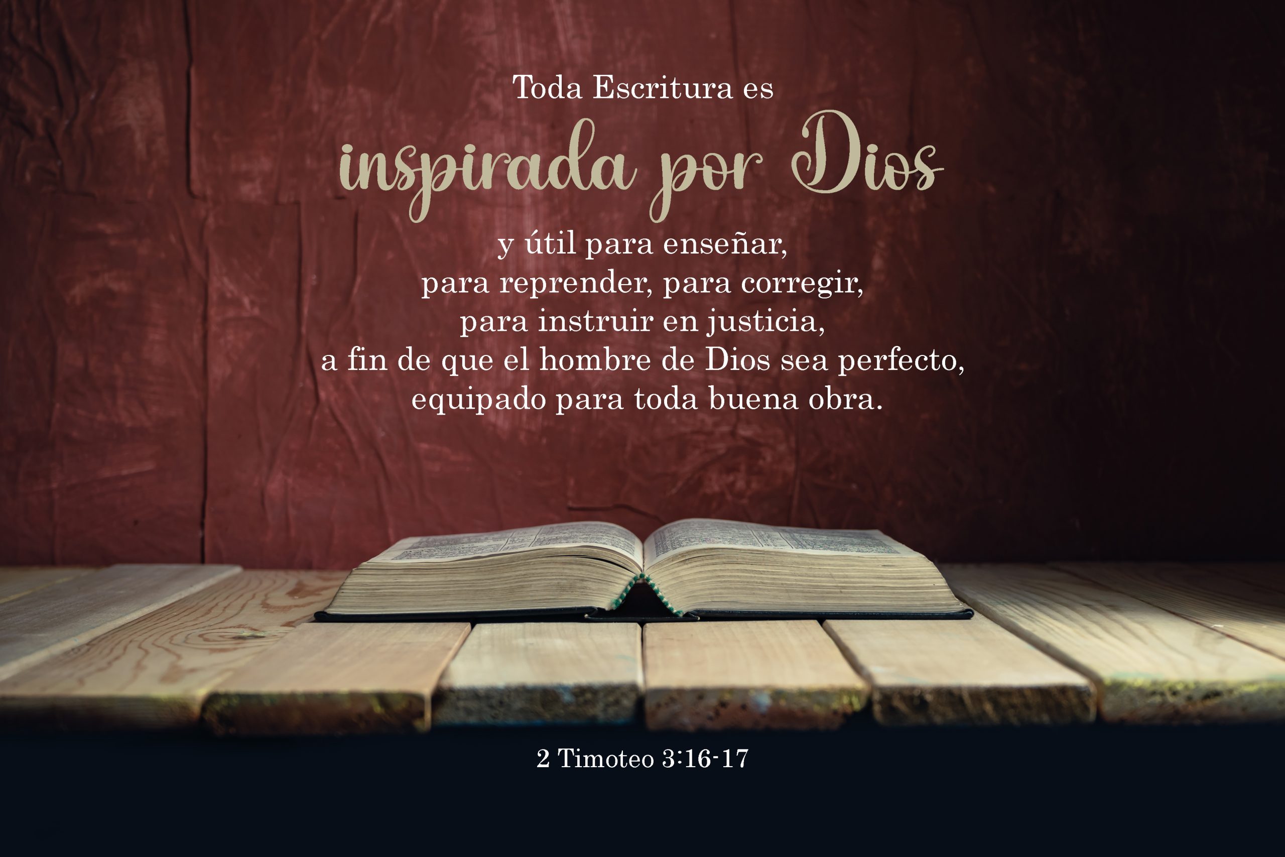 Lienzo/ Canvas Inspirada Por Dios; 2 Timoteo 3:16-17