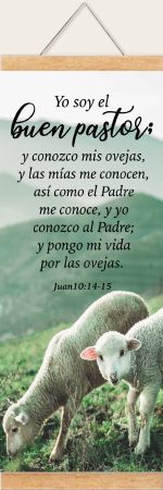Pergamino Buen Pastor; Juan 10:14-15