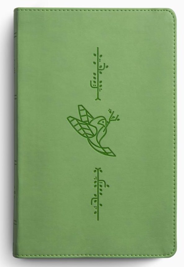 ESV Kid's Bible, Thinline; Lion of Judah Design