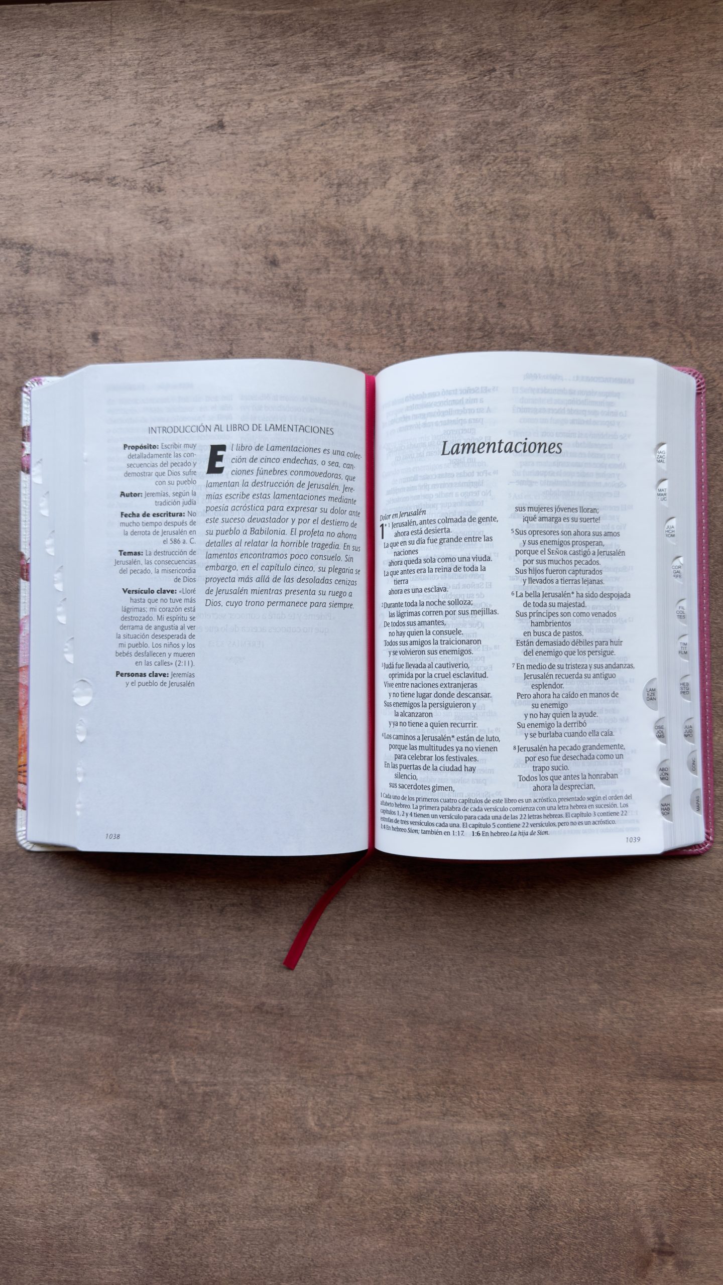 Santa Biblia NTV, Edición Personal, Letra Grande, Rosa, Con Indice - Image 4