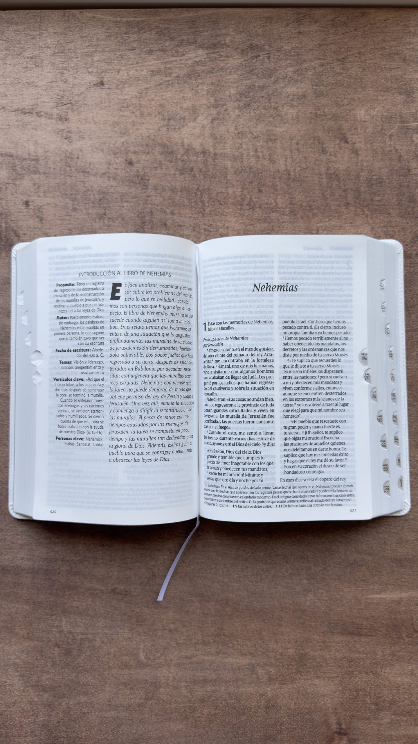 Santa Biblia NTV, Edición Personal, Letra Grande, Blanco, Con Indice - Image 4
