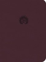 LBLA La Biblia de Estudio de La Reforma, Símil Piel, Ciruela