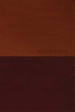 Santa Biblia NTV, Edición Personal, Letra Grande, Café/ Café Claro, Con Indice - Image 2