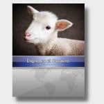 Digno es el Cordero (Un estudio del libro de Apocalipsis.)