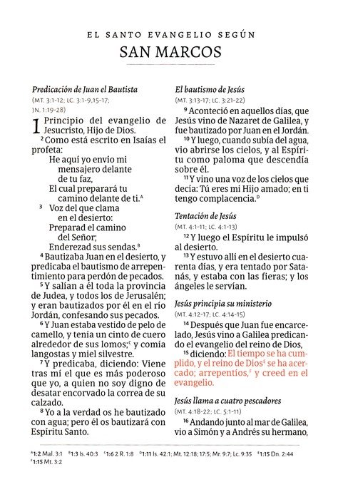 RVR 1960 Biblia Letra Grande Tamaño Manual, Negro, Con Índice - Image 3