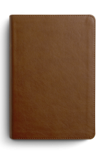 ESV Spanish/English Parallel Bible