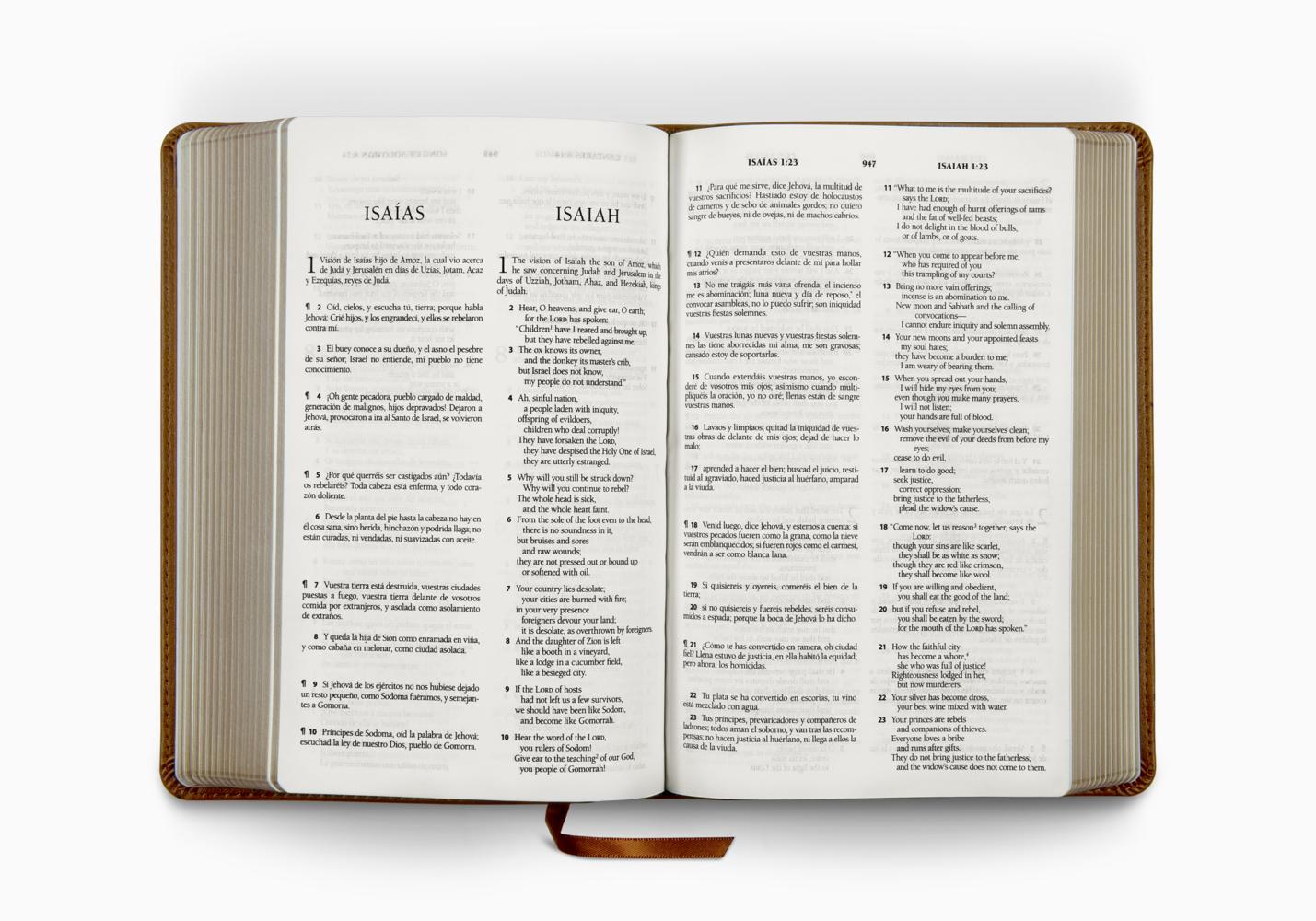 ESV Spanish/English Parallel Bible - Palabra De Dios