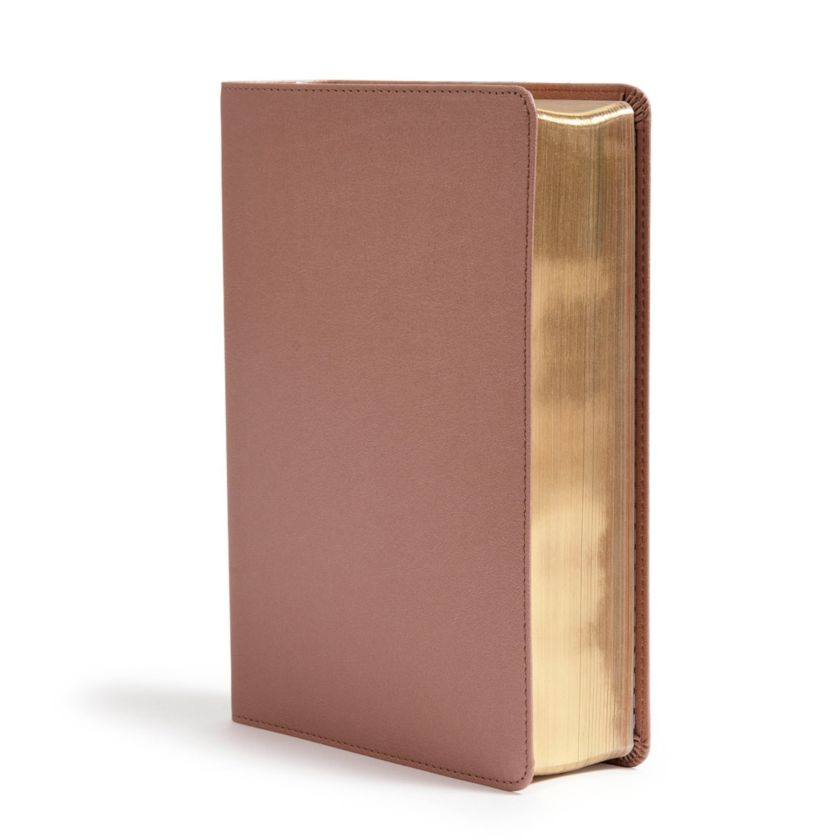 CSB She Reads Truth Bible, Rose Gold LeatherTouch Non-Indexed - Image 2