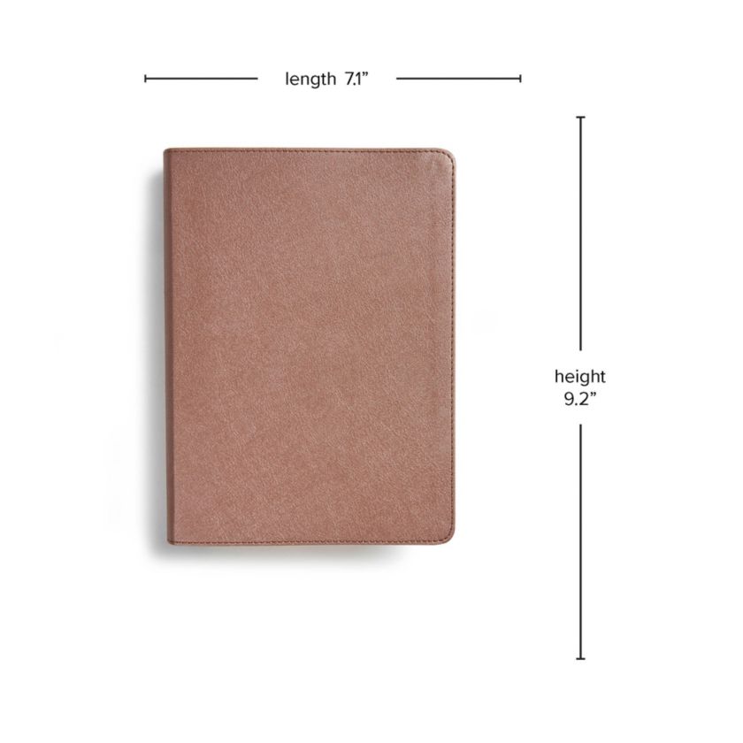 CSB She Reads Truth Bible, Rose Gold LeatherTouch Non-Indexed - Image 3