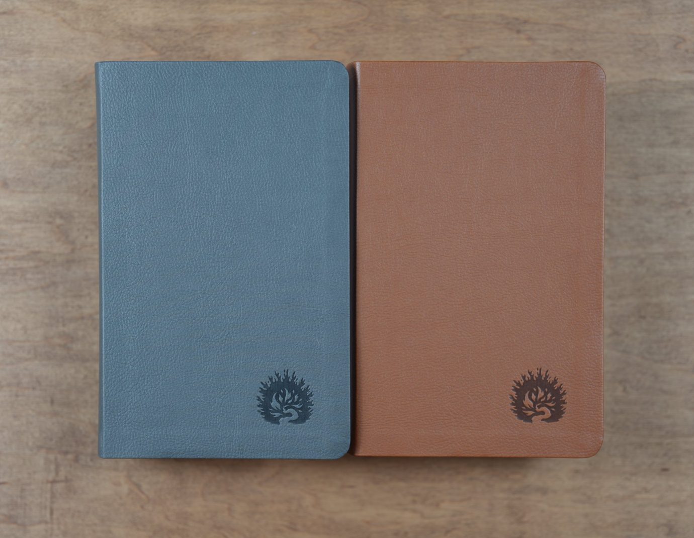 La Biblia de Estudio de La Reforma, Edición Condensada Carbón - Image 5