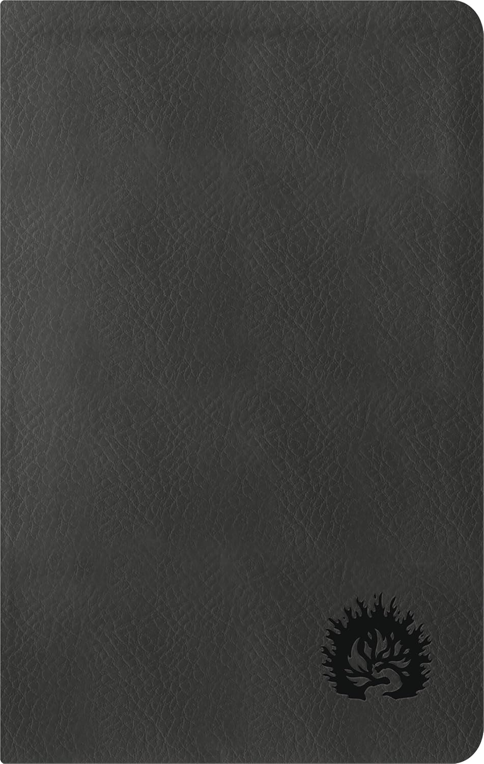 La Biblia de Estudio de La Reforma, Edición Condensada Carbón