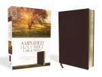 Amplified Holy Bible, Large Print: Captures the Full Meaning Behind the Original Greek and Hebrew, Burgundy