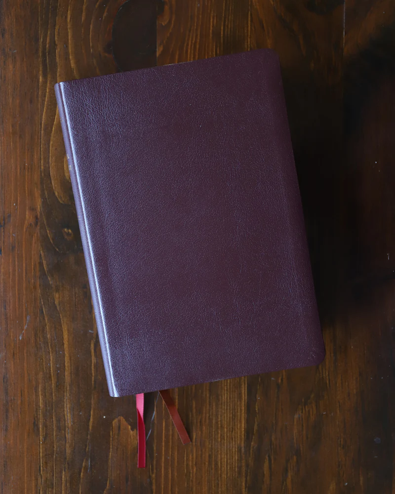 NIV, Biblical Theology Study Bible, Comfort Print: Follow God’s Redemptive Plan as It Unfolds throughout Scripture, Burgundy - Image 2