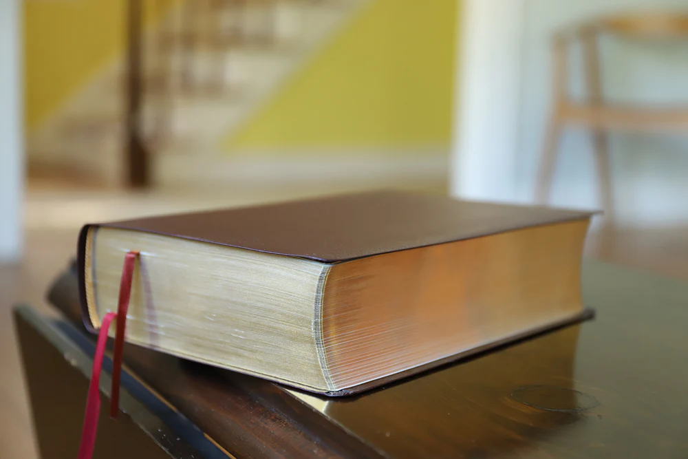 NIV, Biblical Theology Study Bible, Comfort Print: Follow God’s Redemptive Plan as It Unfolds throughout Scripture, Burgundy - Image 4