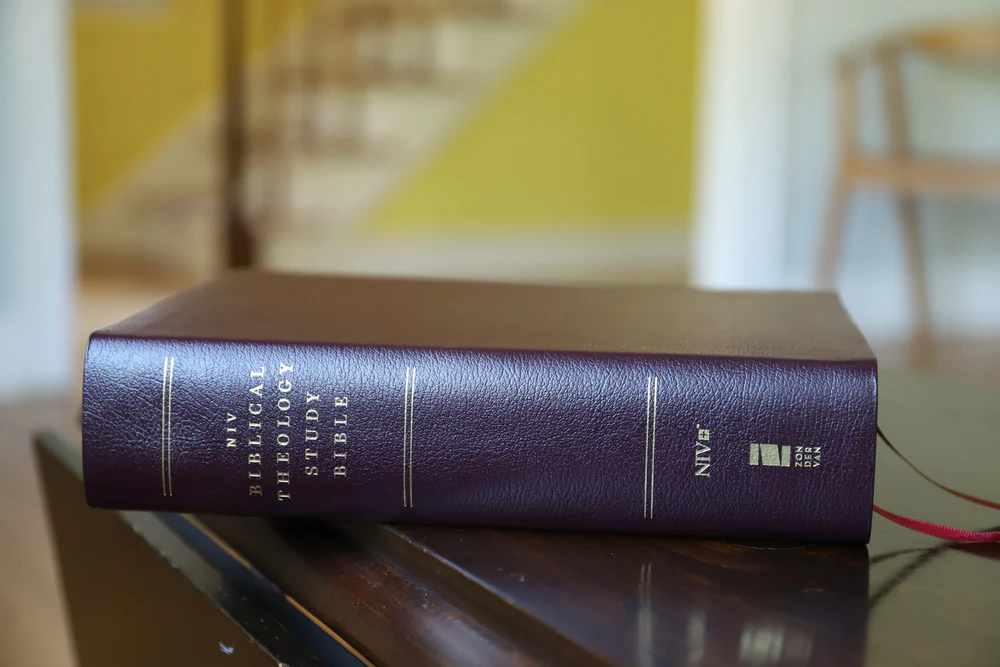 NIV, Biblical Theology Study Bible, Comfort Print: Follow God’s Redemptive Plan as It Unfolds throughout Scripture, Burgundy - Image 3