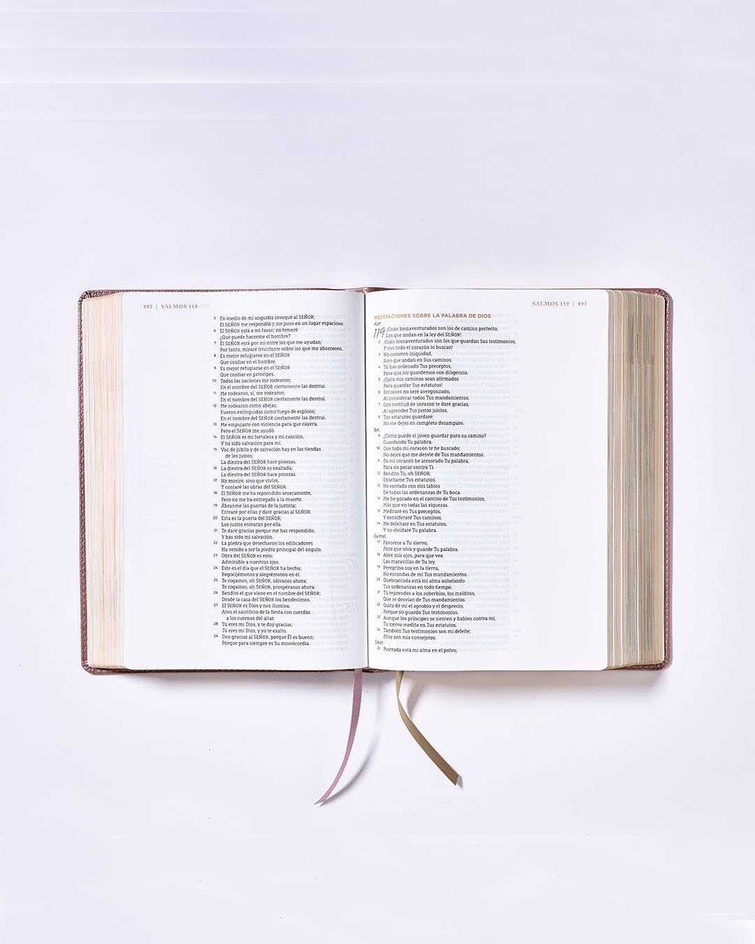 NBLA, Santa Biblia, Ama a Dios Grandemente, Oro Rosa, Comfort Print - Image 3