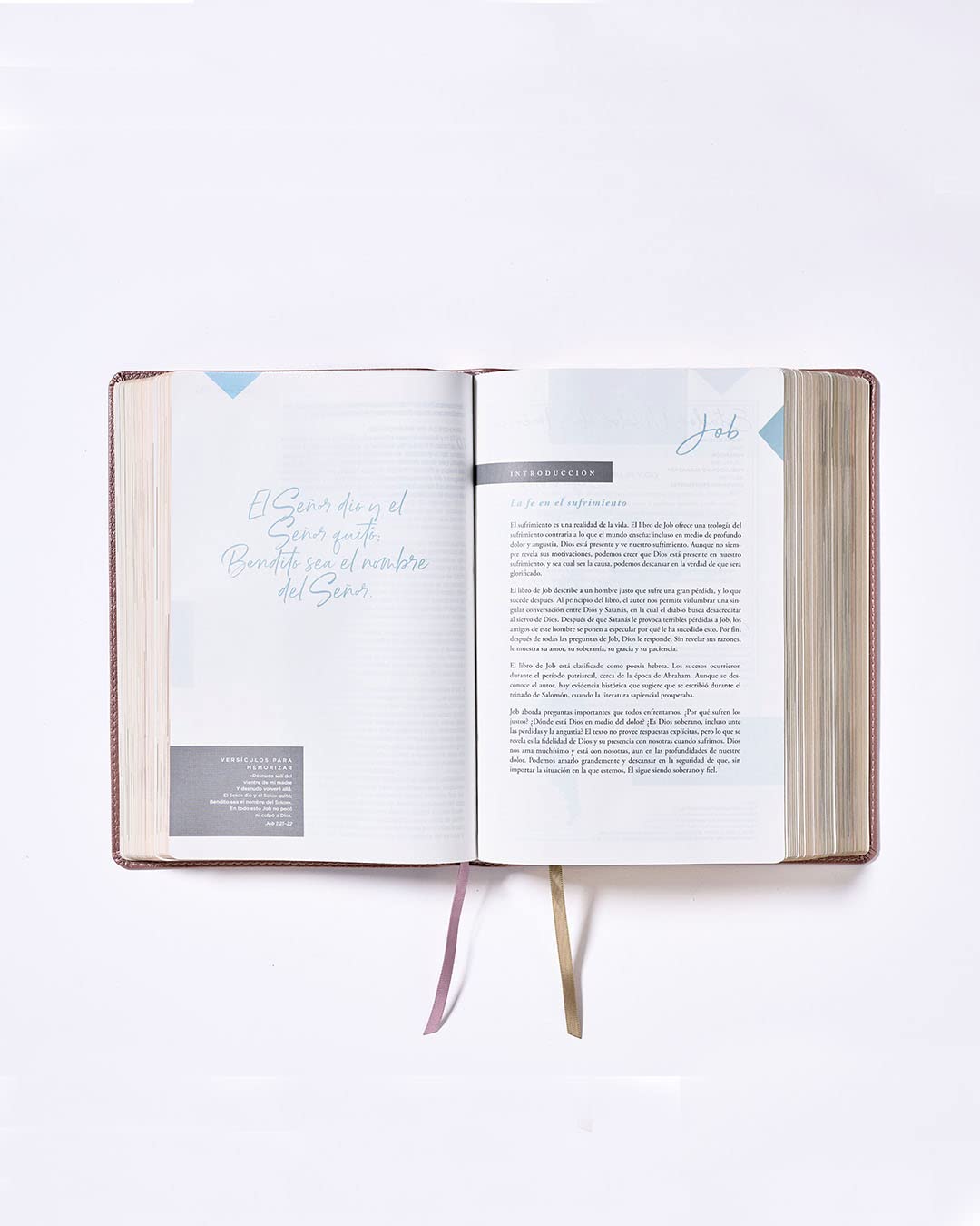 NBLA, Santa Biblia, Ama a Dios Grandemente, Oro Rosa, Comfort Print - Image 5