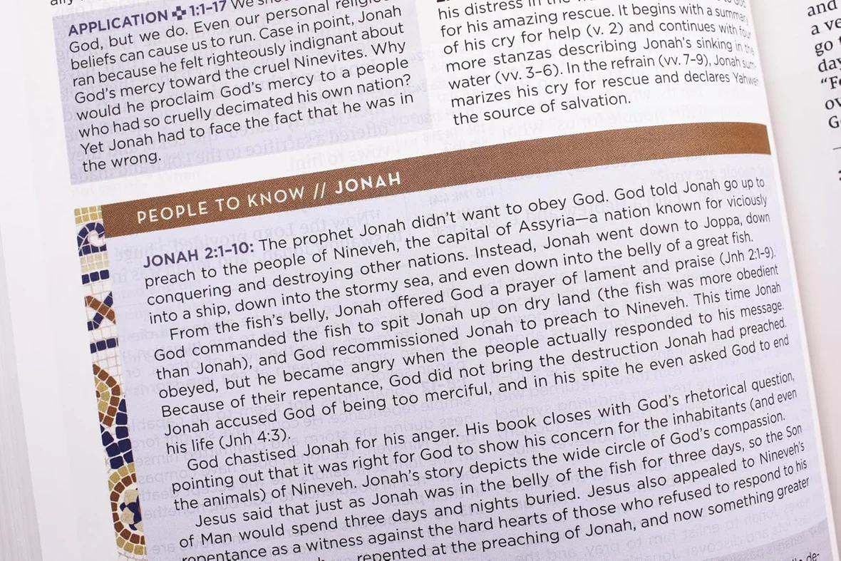 NIV Application Bible, Red Letter, Comfort Print: Bringing the Ancient Message of the Bible into Your World - Image 5