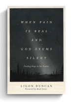 When Pain Is Real and God Seems Silent: Finding Hope in the PsalmsWhen Pain Is Real and God Seems Silent: Finding Hope in the Psalms