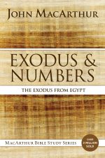 Exodus and Numbers: The Exodus from Egypt