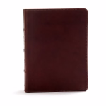 CSB Study Bible, Brown Genuine Leather